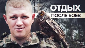 Живой уголок и баня: для российских военных развернули полевой комплекс для отдыха
