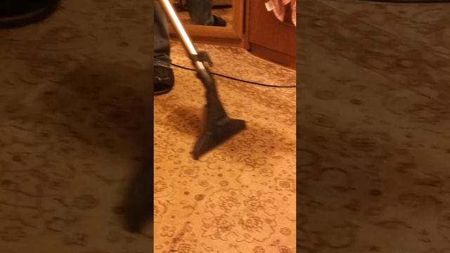 пылесос Tomas cat&dog.mp4 смотреть онлайн