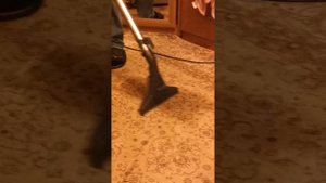 пылесос Tomas cat&dog.mp4
