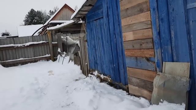ПОЕХАЛИ МЫ В ГОРОД.БЕЗ ПРИКЛЮЧЕНИЙ НЕ ОБОШЛОСЬ.В ГОСТЯХ У ВОЛГОГРАДЦЕВ. смотреть онлайн