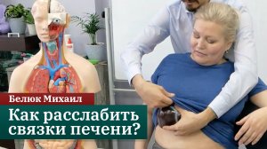 Как расслабить связки печени? Тест Мерфи. Висцеральная остеопатия. Белюк Михаил