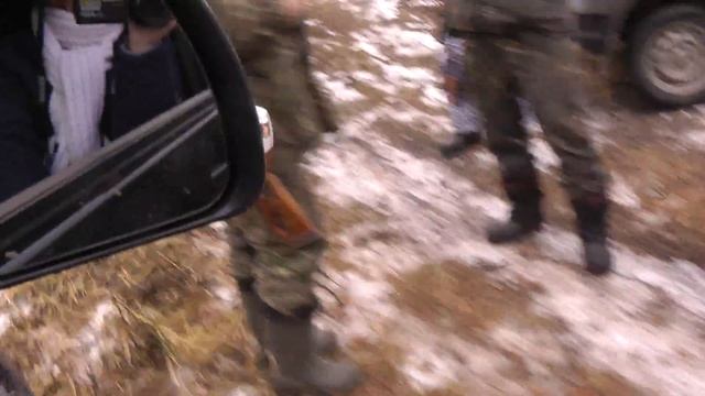 Убитый кабан у охотников смотреть онлайн