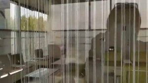 Аэропорт  Казань зона вылета