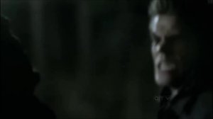 Stefan-Animal I Have Become