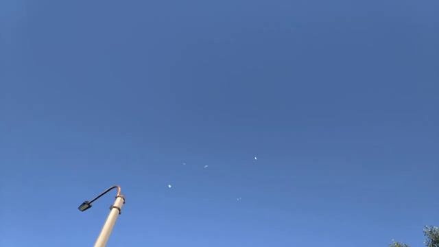 Бакинские голуби Санкт-Петербург обучения продолжается Pegions смотреть онлайн