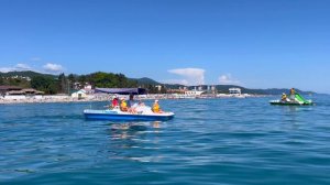 Лазаревское 2024 наше