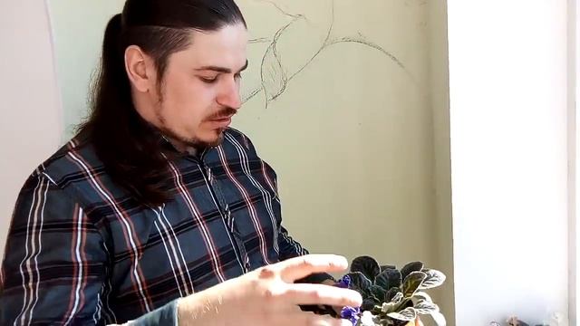 5 ВАЖНЫХ ПРАВИЛ О ПЕСТРОЛИСТНЫХ ФИАЛКАХ, КОТОРЫЕ ДОЛЖЕН ЗНАТЬ КАЖДЫЙ! смотреть онлайн