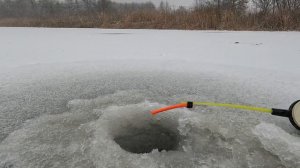 Ловля ротана на блесну с подсадкой сала в Курской области.