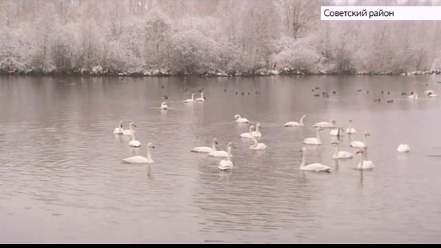 Туристическое агентство "Море удачи" смотреть онлайн