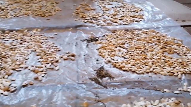 Комбикорм своими руками для цыплят и утят / Что добавлять в комбикорм?