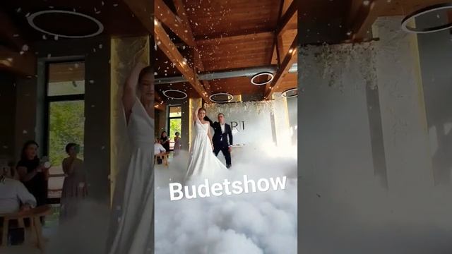 тяжелый дым на первый танец молодоженов снег конфети конфетти ведущий на свадьбу в барнауле