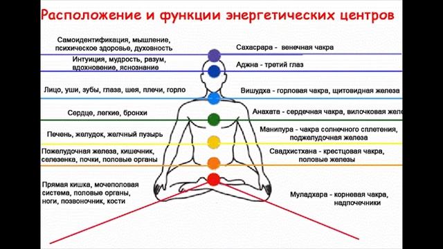 Курс "Омолаживающие Медитации". Руководитель Курса - Константин Стефанский. Урок 1 - Чакры. Теория! смотреть онлайн