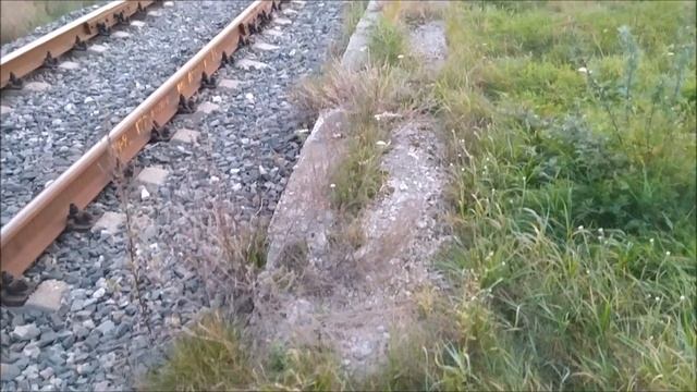 10 лет отмены поезда Жуковка-Клетня,станции заброшки! смотреть онлайн