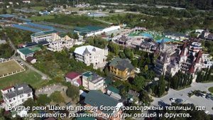 Обзор Головинки с высоты. Тюльпановое дерево.