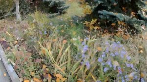 МОЩИ СВЯТОГО ФЕОДОСИЯ КАВКАЗСКОГО. Собор Покрова Пресвятой Богородицы. Минеральные Воды