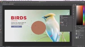 50 PHOTOSHOP KEYBOARD SHORTCUTS YOU NEED TO KNOW