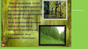 ОЗОШ N8Урок природоведения 4 класс Смешанные леса.Растительный и животный мир зоны смешанных лесов.