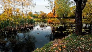 Ласковый май - Медленно уходит осень (Tiphior instrumental remix)