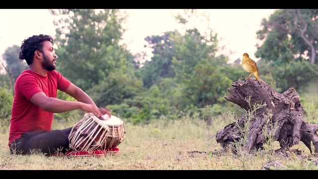 Tabla Aur Kauye Ki JugalBandi.तबला और कौवे की जुगलबंदी ।
