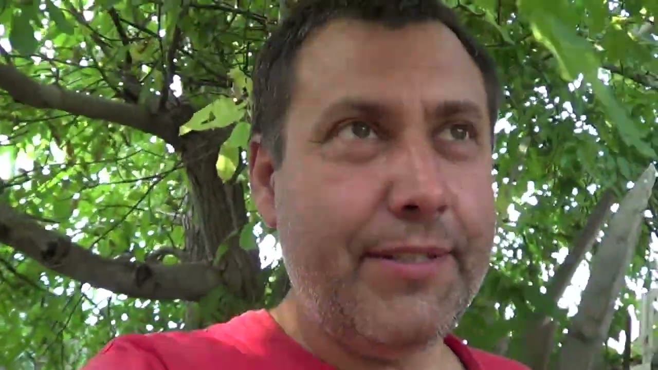 БОЛЬШЕ НЕ БУДУ ПОМОГАТЬ / КАК ПРОПЫЛЕСОСИТЬ БАССЕЙН смотреть онлайн