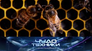 Пчелиный апокалипсис и все о перманентном макияже | «Чудо техники»