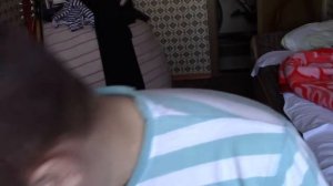 электробритва Чайка 304 авто