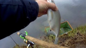 река Днепр или Десногорское водохранилище...