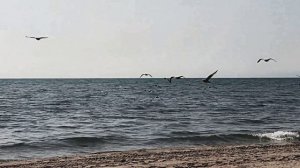 Океан. Звук волн для медитации, расслабления и умиротворения