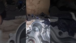 Про подшипники для Yamaha Professional