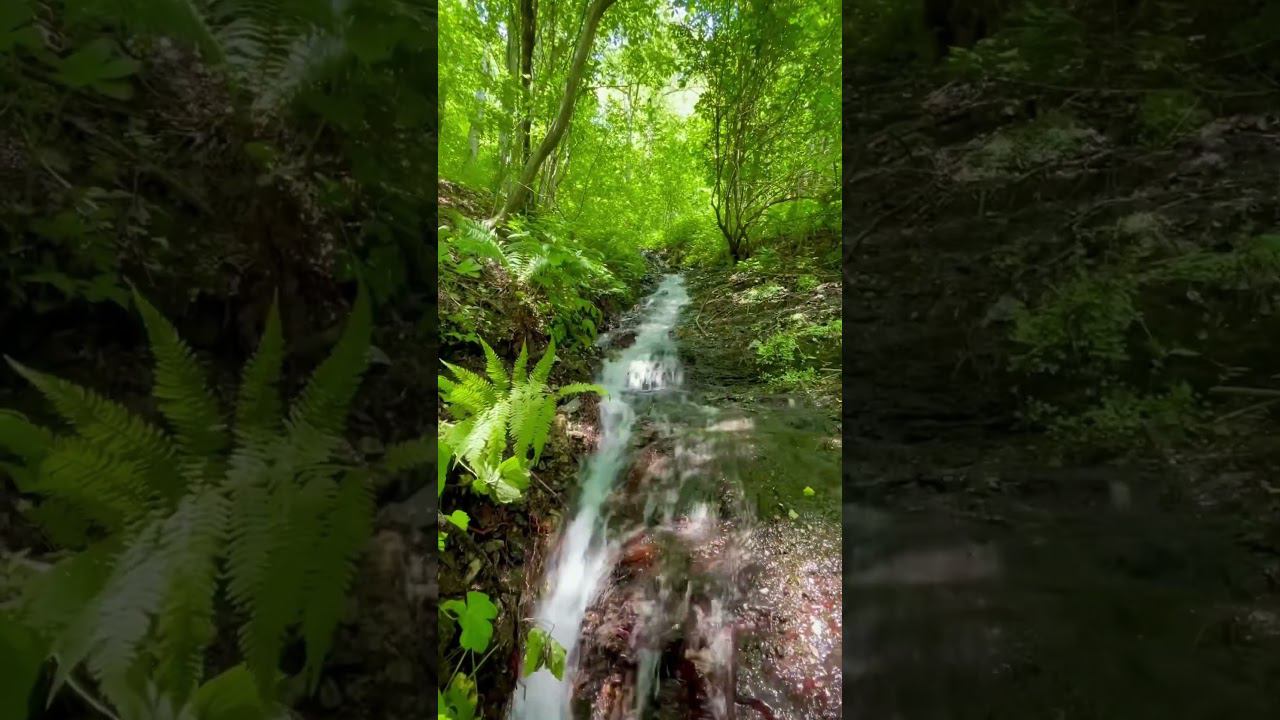 Сочи. Красная поляна смотреть онлайн