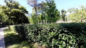 Грузия Тбилиси Парк Киквидзе Прогулка 20.05.2021