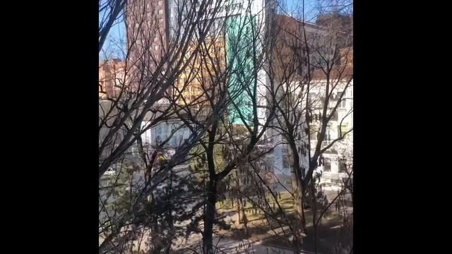 Как и где выбрать квартиру на вторичном рынке жилья в Ростове-на-Дону