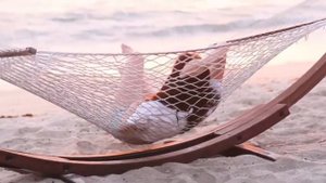 The Radisson Blu Poste Lafayette Resort & Spa **** | Poste Lafayette (Flacq) - Mauritius