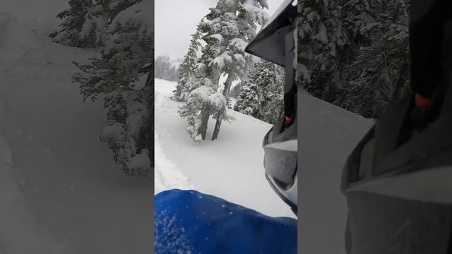 Arctic Cat Powder Special doing powder special things