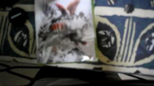 Street Fighter X Tekken (Xbox 360) Unboxing