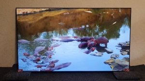 Телевизор 55 дюймов LG OLED 55G1RLA 120Гц новый