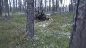 Сапоги, собака, тайга #14