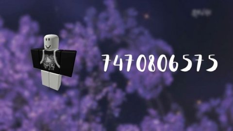 AESTHETIC GRUNGE/ GOTH ITEMS WITH CODES!