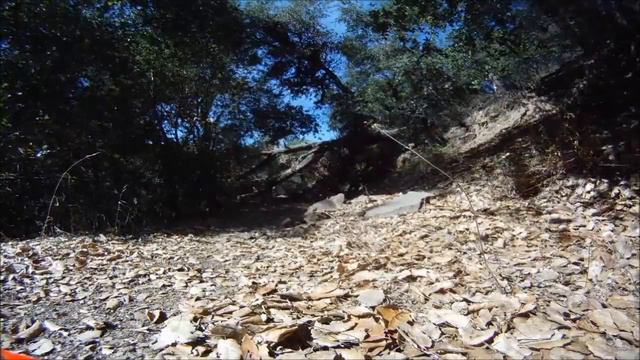 Timm Trail Tree Removal смотреть онлайн