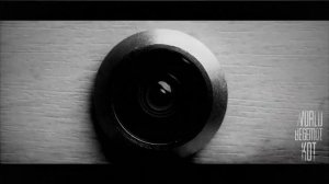 История с канала WorldBegemotKot.В подъезде пропал свет!