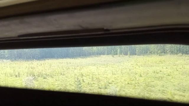Ритмичный стук колес / звеньевой путь / тайга и горы / из окна поезда / Байкало-амурская магистраль смотреть онлайн