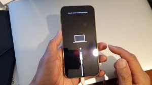 How to Put iPhone 13/13 Pro Into Recovery Mode