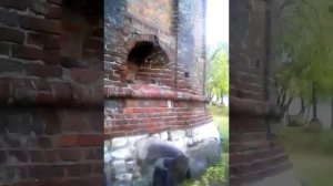Знаменитый Симоновский монастырь