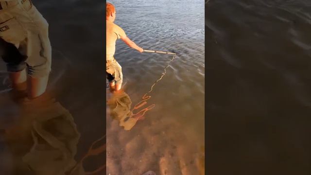 Рыбалка Мёртвый Донец , под мостом , Вываживание сазана смотреть онлайн