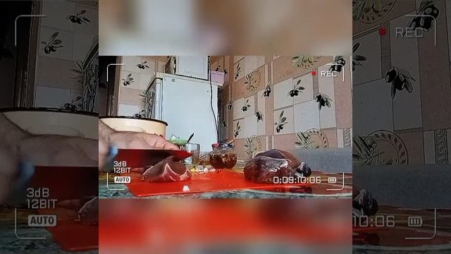 Шашлык из мяса Лося