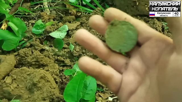 ЛЕС ОДАРИЛ МОНЕТАМИ СЕРЕБРО МАСОНЫ! КОП В ЛЕСУ!