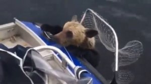 Песня про рыбалку