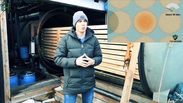 Вечное дерево. Как производят? Экскурсия на завод