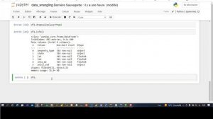 Python 03 Data Wrangling: supprimer des données manquantes et reformater