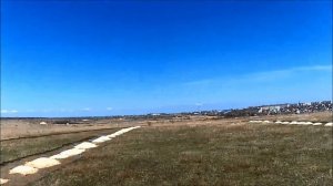 Низино. Шинкарский пруд.